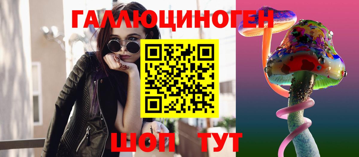 где купить   Галлюциногенные грибы Cubensis  Вход с VPN  Нововоронеж 